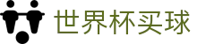 2026世界杯买球盘口与赛程赔率_2026世界杯在线
